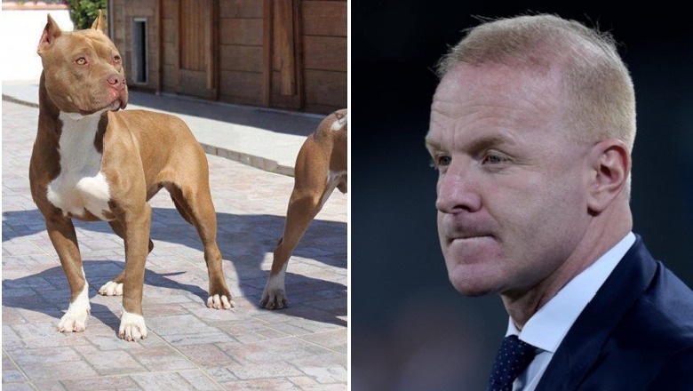 E rëndë në Itali/ Igli Tare sulmohet nga një pitbull ndërsa shëtiste, lëndohet vetë dhe humb një prej qenve E rëndë në Itali/ Igli Tare sulmohet nga një pitbull ndërsa shëtiste, lëndohet vetë dhe humb një prej qenve