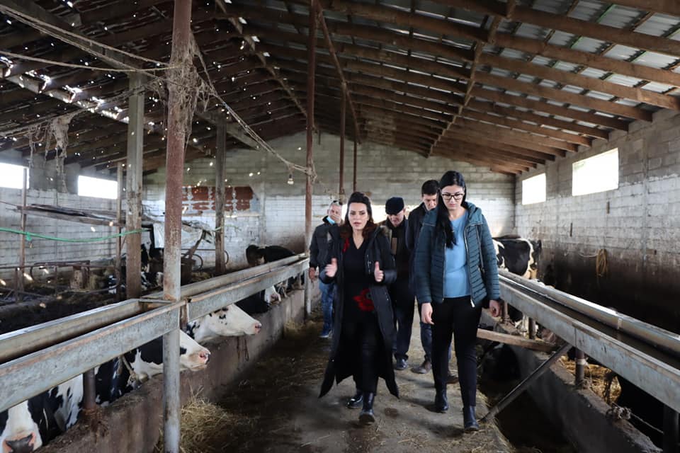 Grida Duma, e veshur “firmato” tek stalla e lopëve: Asnjë taksë për kë punon tokën! Naftë sa të doni me gjysëm çmimi