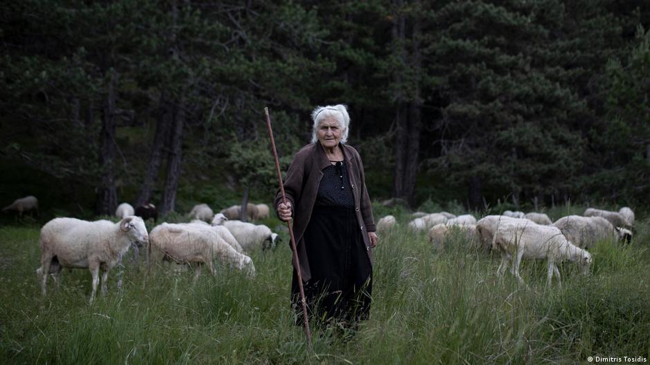 Një udhëtim me barinjtë e fundit nomadë të Greqisë Një udhëtim me barinjtë e fundit nomadë të Greqisë