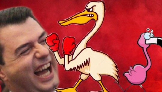 Deklarata shokuese e Lulzim Bashës për Moratoriumin e gjuetisë dhe kjo video e frikshme e 2009 na kujton! Deklarata shokuese e Lulzim Bashës për Moratoriumin e gjuetisë dhe kjo video e frikshme e 2009 na kujton!