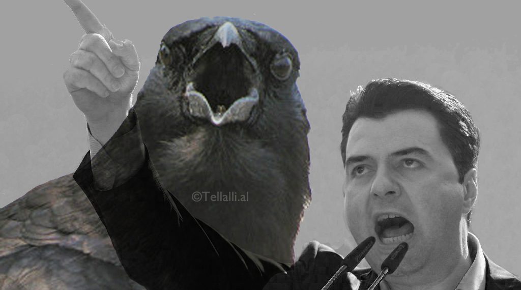 ‘Qesharake’! Balla reagon pasi demokratët bllokojnë tunelin e Elbasanit: E pakuptimtë pse i duhen Lulit gjithë ato shoqërues nga Tirana ‘Qesharake’! Balla reagon pasi demokratët bllokojnë tunelin e Elbasanit: E pakuptimtë pse i duhen Lulit gjithë ato shoqërues nga Tirana