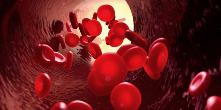 STUDIMI: Nuk ka asnjë lidhje mes grupit të gjakut dhe infektimit me Covid-19 STUDIMI: Nuk ka asnjë lidhje mes grupit të gjakut dhe infektimit me Covid-19