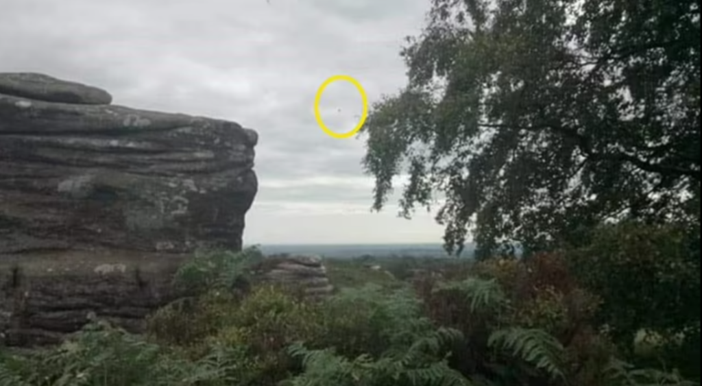 Gruaja pretendon se është rrëmbyer nga alienët, thotë se ka dhe fakte