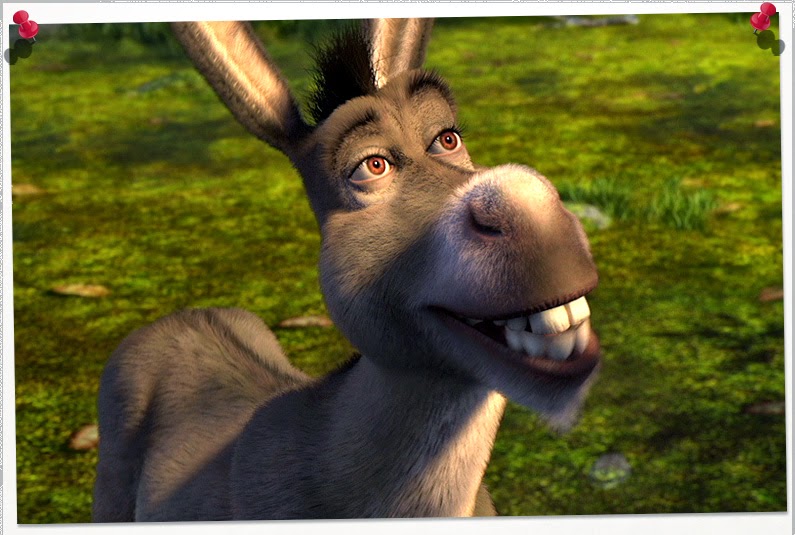 Shteti Amerikan shkruan shqip, shqupasit e përkthejnë hajvan-isht