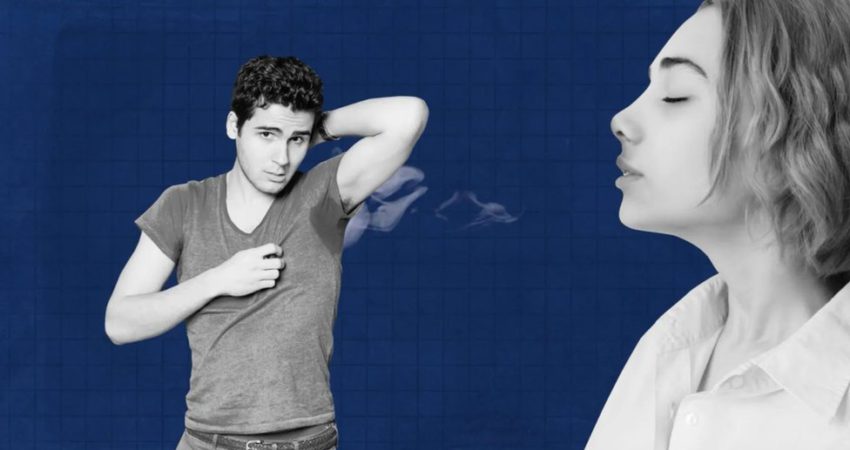 Beqarët kanë erë të ndryshme nga të martuarit: A mund ta gjeni partnerin e duhur nga aroma? Beqarët kanë erë të ndryshme nga të martuarit: A mund ta gjeni partnerin e duhur nga aroma?