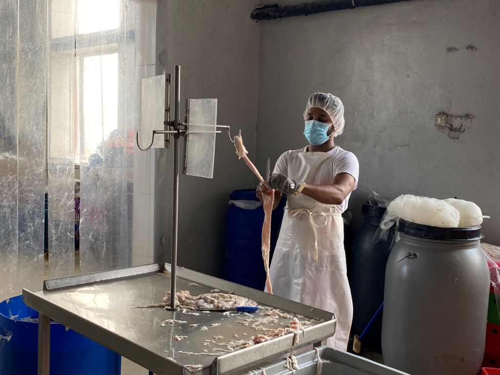 Bizneset ndjekin ‘këshillën’ e Edi Ramës, marrin punëtorë nga Bangladeshi Bizneset ndjekin ‘këshillën’ e Edi Ramës, marrin punëtorë nga Bangladeshi