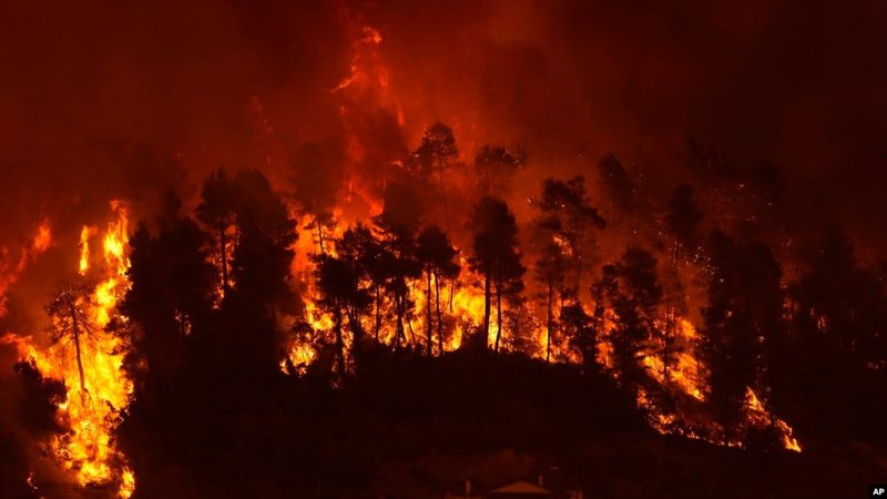Vala e të nxehtit “përvëlon” Mesdheun, dhjetëra viktima Vala e të nxehtit “përvëlon” Mesdheun, dhjetëra viktima