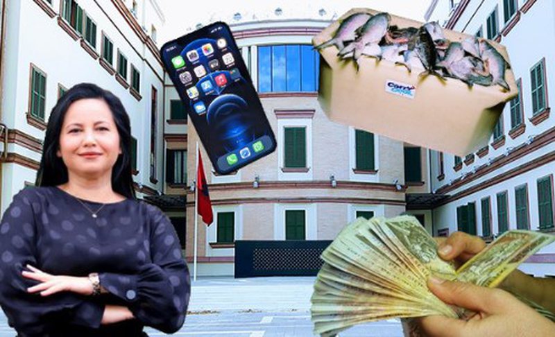 Apeli merr vendimin për avokaten që akuzohet se i dha rryshfet ish zv-ministres Rovena Voda Apeli merr vendimin për avokaten që akuzohet se i dha rryshfet ish zv-ministres Rovena Voda