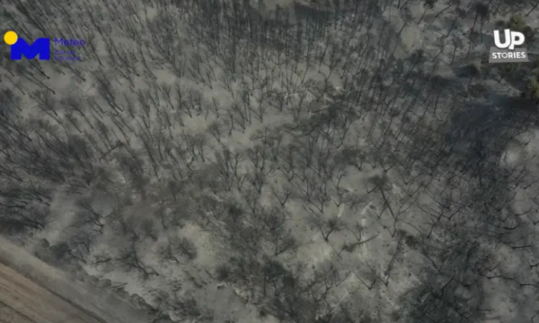 VIDEO/ “Panorama e zezë”! Pamjet me dron nga ishulli Evia në Greqi VIDEO/ “Panorama e zezë”! Pamjet me dron nga ishulli Evia në Greqi