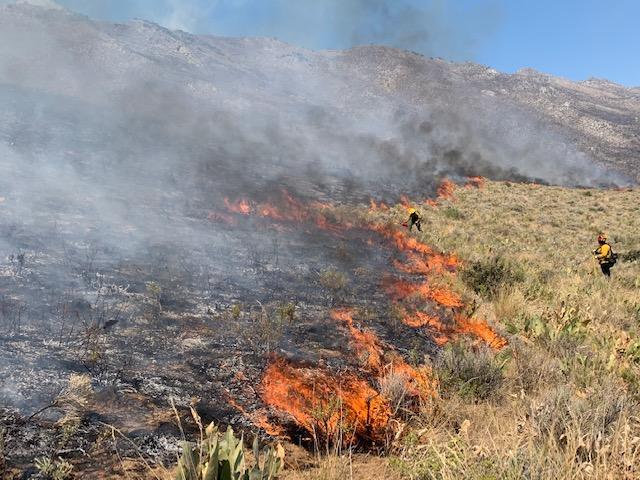 Pas të shoqit, humb jetën tragjikisht nga flakët dhe gruaja në Gjirokastër Pas të shoqit, humb jetën tragjikisht nga flakët dhe gruaja në Gjirokastër