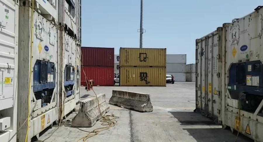 Sekuestrohen 10 kg kokainë në Portin e Durrësit e fshehur brenda kontejnerit me banane