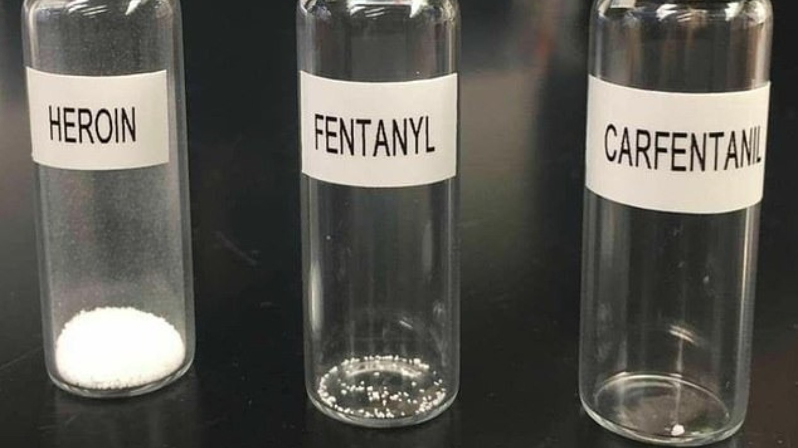 Sekuestrohen 21 kg karfetanil, sasi që mjafton për të vrarë 50 milionë persona Sekuestrohen 21 kg karfetanil, sasi që mjafton për të vrarë 50 milionë persona