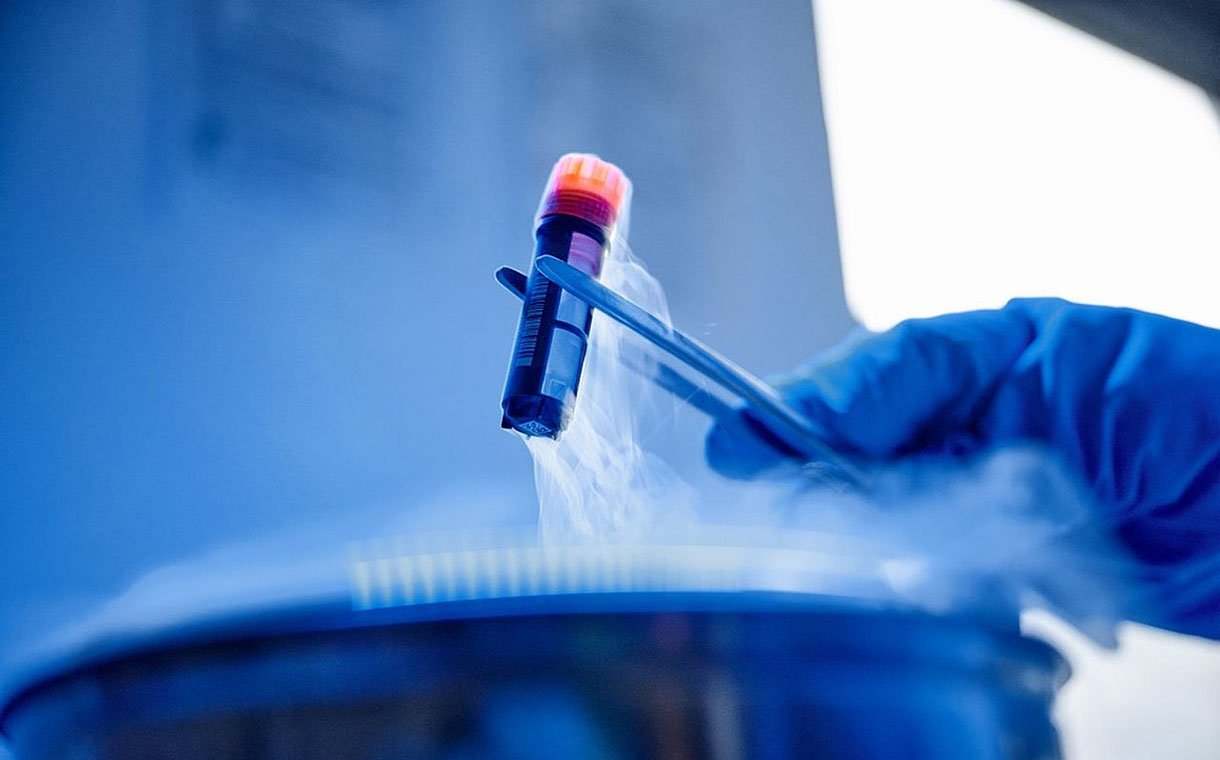 Miliarderët në kërkim të pavdekësisë: Duan të jetojnë përgjithmonë Miliarderët në kërkim të pavdekësisë: Duan të jetojnë përgjithmonë