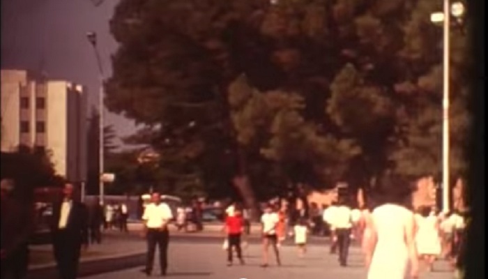 Dy barsoleta të vitit 1973 dhe përfundimi Dy barsoleta të vitit 1973 dhe përfundimi