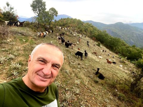 Fëmijët duke studiuar jashtë vendit Meta takon çobanin dhe flet për emigrimin: Duhen mbështetur çobanët më shumë, në mënyrë që të ndalojmë shpopullimin! Fëmijët duke studiuar jashtë vendit Meta takon çobanin dhe flet për emigrimin: Duhen mbështetur çobanët më shumë, në mënyrë që të ndalojmë shpopullimin!