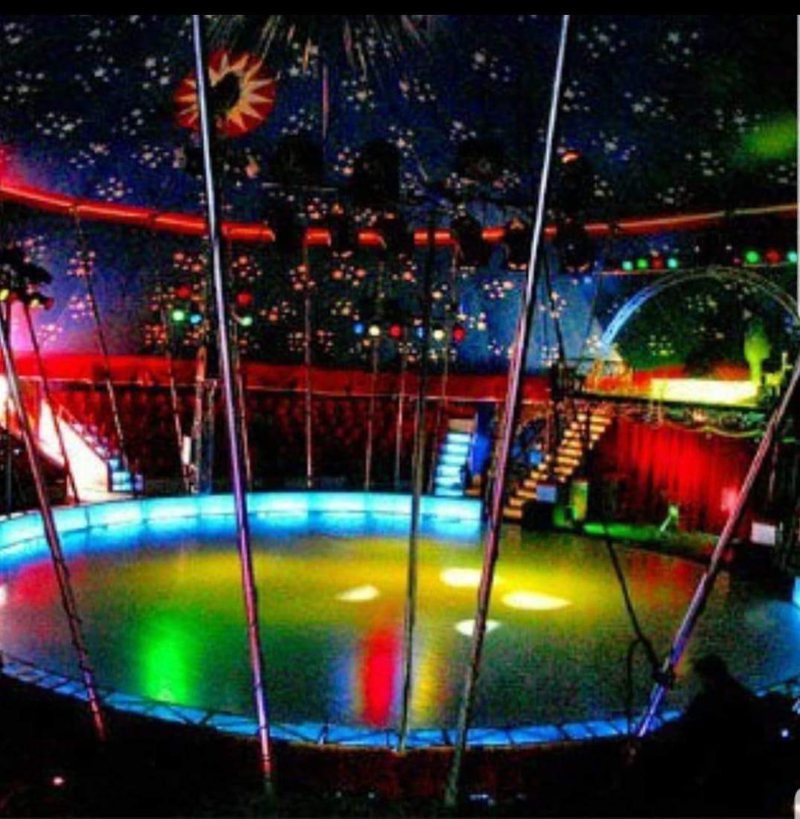 Më 20 tetor Përmbarimi heq çadrën e Cirkut Kombëtar, Julian Kazazi: Asnjë përgjigje nga MK, keqardhje si janë katandisur institucionet Më 20 tetor Përmbarimi heq çadrën e Cirkut Kombëtar, Julian Kazazi: Asnjë përgjigje nga MK, keqardhje si janë katandisur institucionet