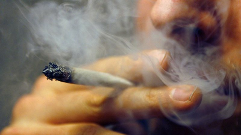 Ky është vendi i parë i BE-së që legalizon rritjen dhe konsumin e kanabisit