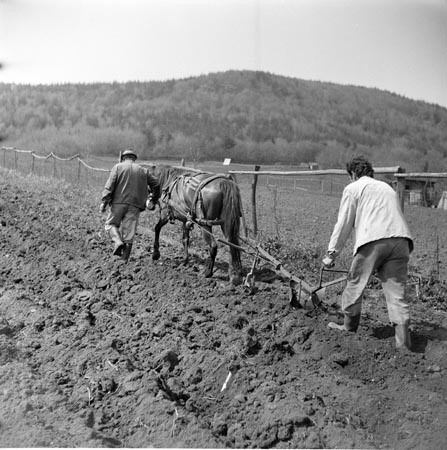 Si ua mori Enver Hoxha tokat pronarëve me reformën e 46-ës…dhe Saliu me ligjin 7501?! Si ua mori Enver Hoxha tokat pronarëve me reformën e 46-ës…dhe Saliu me ligjin 7501?!