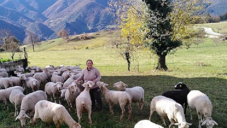 Nga gjurmimi i bagëtive me dron te 17 module dhe 500 orë leksione, ‘The Guardian’: Si po ngrihet në Spanjë shkolla për barinjtë Nga gjurmimi i bagëtive me dron te 17 module dhe 500 orë leksione, ‘The Guardian’: Si po ngrihet në Spanjë shkolla për barinjtë