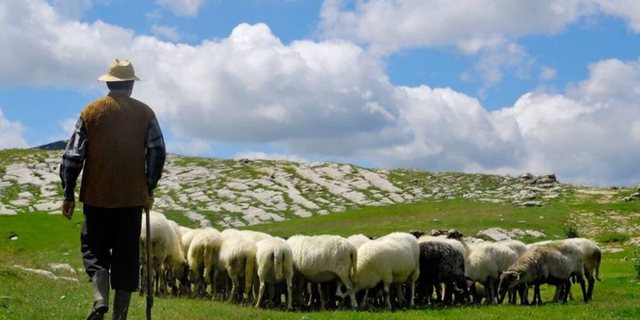 Ku i gjen Rama këto idiote ministre?! Krifca e bujqësisë: Do hapim Akademinë e Çobenjve (Video) Ku i gjen Rama këto idiote ministre?! Krifca e bujqësisë: Do hapim Akademinë e Çobenjve (Video)