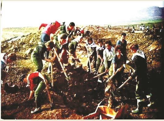 Pak nostalgji për rininë e dikurshme! Si u hapën tarracat e Lukovës me agrume Pak nostalgji për rininë e dikurshme! Si u hapën tarracat e Lukovës me agrume