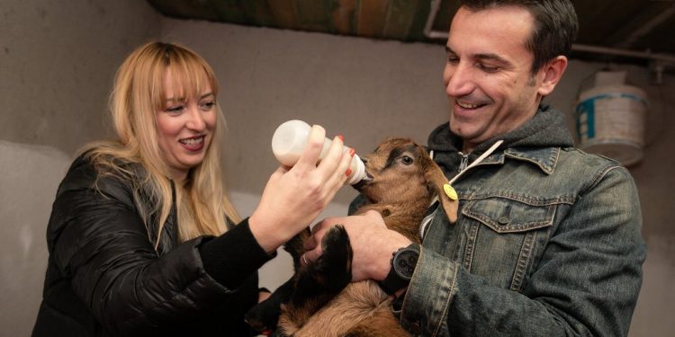 Ministreshë “Luleshtrydhja”, “aksion” në AZHBR për të “shtrydhur” dosjet e korrupsionit që ka bërë me fondet Ministreshë “Luleshtrydhja”, “aksion” në AZHBR për të “shtrydhur” dosjet e korrupsionit që ka bërë me fondet