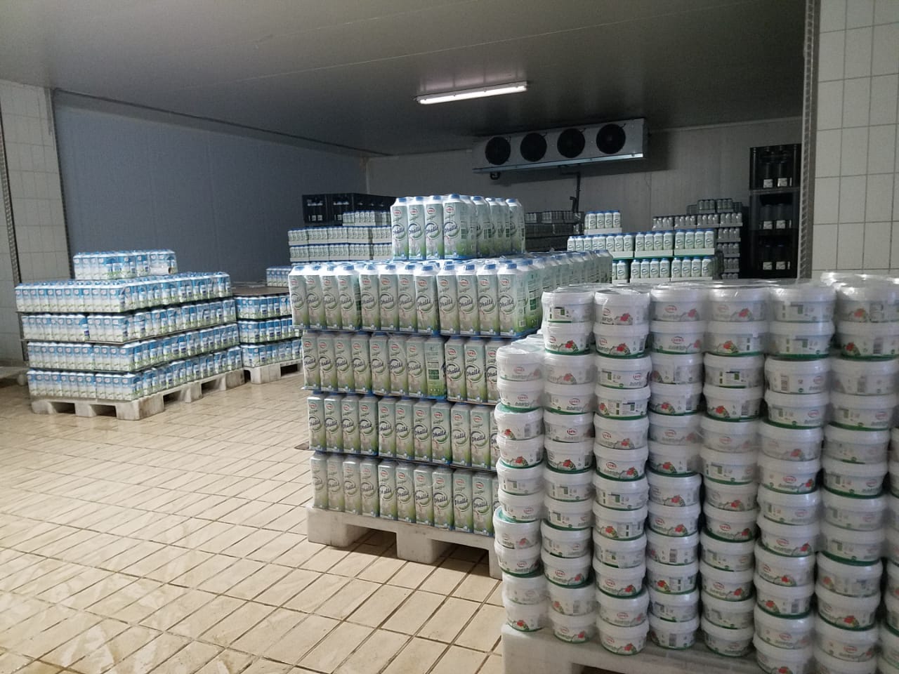 Mafia qeveritare në “biberonin“ e mafies së fabrikave që mashtrojnë e zhvasin popullin me qumësht pluhur