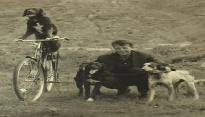 Berati në kohën e komunizmit dhe qeni i habitshëm Foksi Berati në kohën e komunizmit dhe qeni i habitshëm Foksi