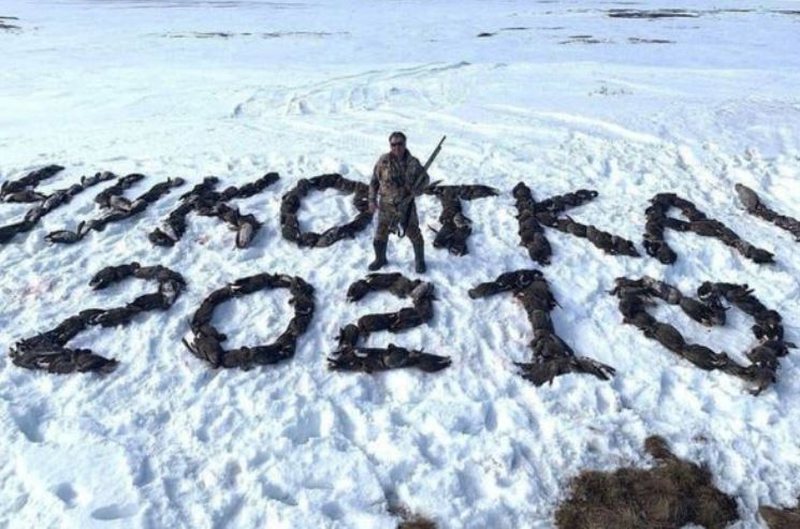E rëndë! Gjendet i vdekur në zyrë deputeti: Ja çfarë zbuloi policia në trupin e tij