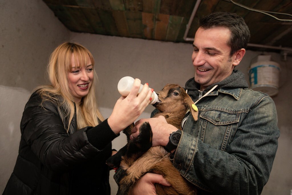 Ish burri i ministres Frida Krifca, dora e zezë që nxori listën e pagave; u pagua nga oligarku rus i skeduar nga SHBA si vegël e Putinit