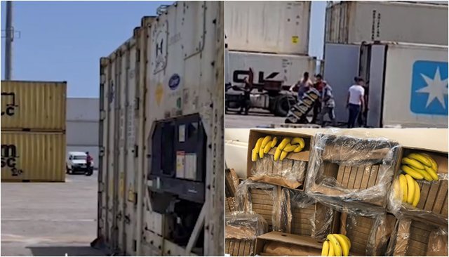 Kujdes, kujdes nga banania! Kujdes, kujdes nga banania!