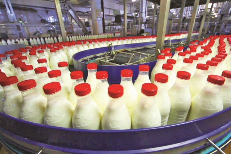 Ja kompanitë që shesin produktet me qumësht pluhur, vaj palme e niseshte, AKU bashkëpunëtore e krimit Ja kompanitë që shesin produktet me qumësht pluhur, vaj palme e niseshte, AKU bashkëpunëtore e krimit