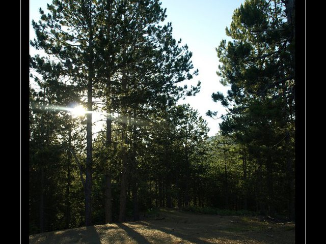 Tronditet nga ajo çfarë zbulon banori në Pukë: Është e rrezikshme. Ka të tjera Tronditet nga ajo çfarë zbulon banori në Pukë: Është e rrezikshme. Ka të tjera