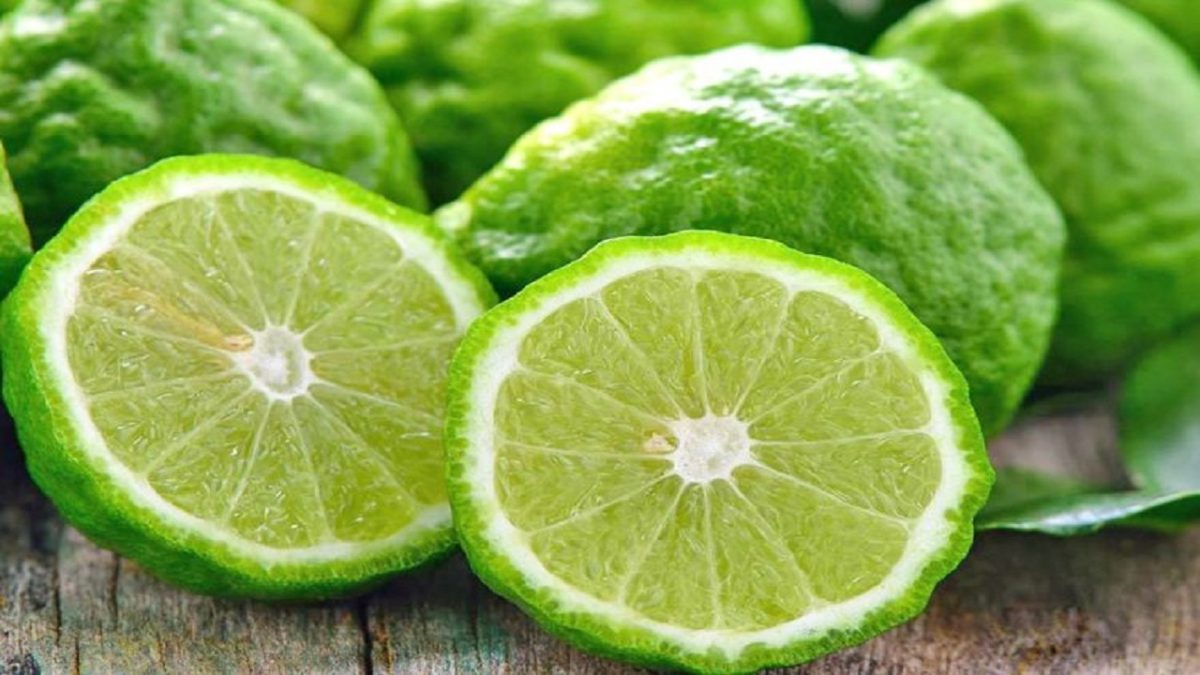 Bergamoti, më i kërkuari në botë, një thesar që gjendet prej shekujsh në Shqipëri Bergamoti, më i kërkuari në botë, një thesar që gjendet prej shekujsh në Shqipëri