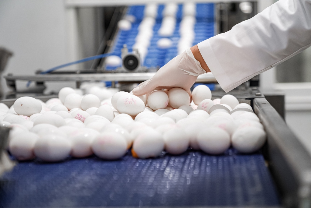 Veza kap shifrën e çmendur, 44 lekë kokrra Veza kap shifrën e çmendur, 44 lekë kokrra