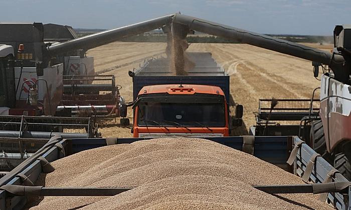 Ministrja e Bujqësisë nga Beogradi rikonfirmonë marrëveshjen Open Balkan: Gruri dhe misri nga Serbia do të sillet në Shqipëri Ministrja e Bujqësisë nga Beogradi rikonfirmonë marrëveshjen Open Balkan: Gruri dhe misri nga Serbia do të sillet në Shqipëri