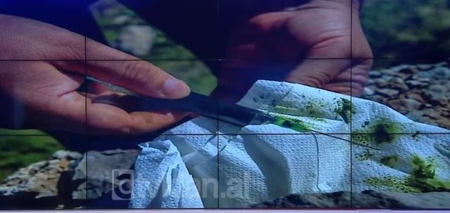 “2-3 mijë euro doza”! Artan Hoxha publikon foton: Ky është vaji kanabisi i prodhuar në mënyrë ilegale! Ja kush e prodhon në Shqipëri “2-3 mijë euro doza”! Artan Hoxha publikon foton: Ky është vaji kanabisi i prodhuar në mënyrë ilegale! Ja kush e prodhon në Shqipëri