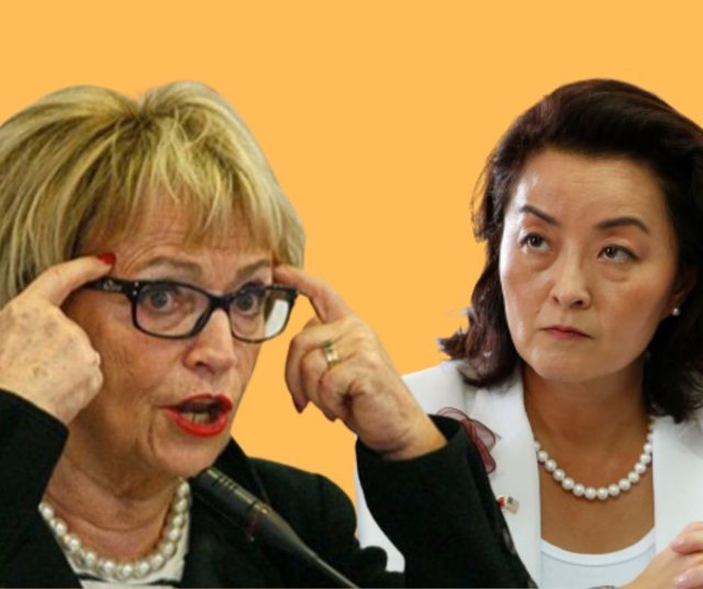 Turp të kesh! Kryetarja e plakave gjermane në pension në mbrojtje të Saliut dhe… “shtetasve shqiptarë”: Sulmon Yuri Kim Turp të kesh! Kryetarja e plakave gjermane në pension në mbrojtje të Saliut dhe… “shtetasve shqiptarë”: Sulmon Yuri Kim