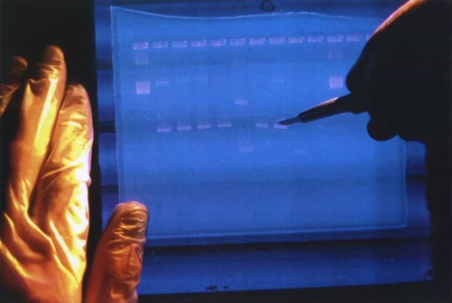 Shkencëtarët më në fund përfundojnë deshifrimin e të gjithë gjenomit njerëzor Shkencëtarët më në fund përfundojnë deshifrimin e të gjithë gjenomit njerëzor