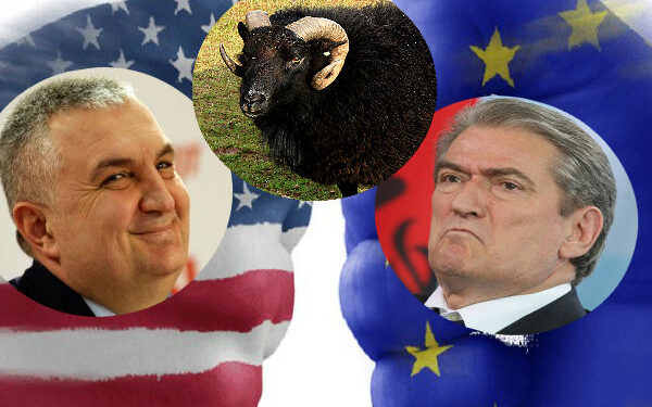 Nuk kanë kuptuar akoma se me kë e kanë “kruajtur”?! Nuk kanë kuptuar akoma se me kë e kanë “kruajtur”?!