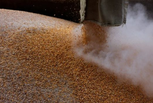 A po vjedh dhe shet Rusia grurë nga Ukraina? A po vjedh dhe shet Rusia grurë nga Ukraina?