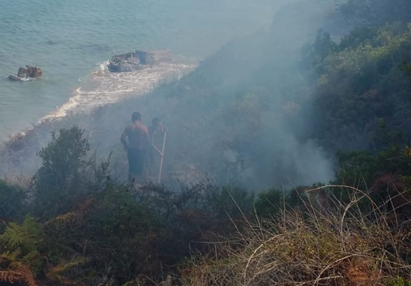 Zjarr në Ishullin e Sazanit, reagon Peleshi: 61 efektivë në vendngjarje, terreni dhe kushtet e vështira po vështirësojnë neutralizimin e flakëve Zjarr në Ishullin e Sazanit, reagon Peleshi: 61 efektivë në vendngjarje, terreni dhe kushtet e vështira po vështirësojnë neutralizimin e flakëve