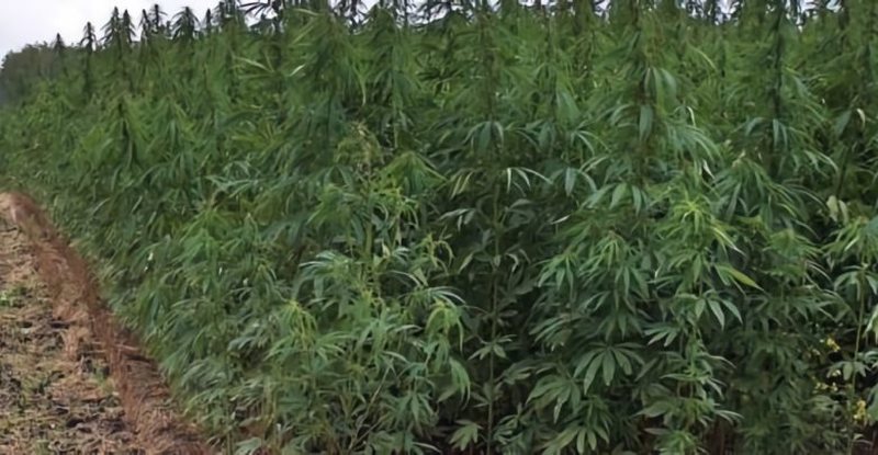 Shqiptarët me “tokë” edhe në malet e Greqisë! Kapet parcela me vlerë 10 mln euro: Mediat greke zbulojnë kush është ‘koka e grupit’