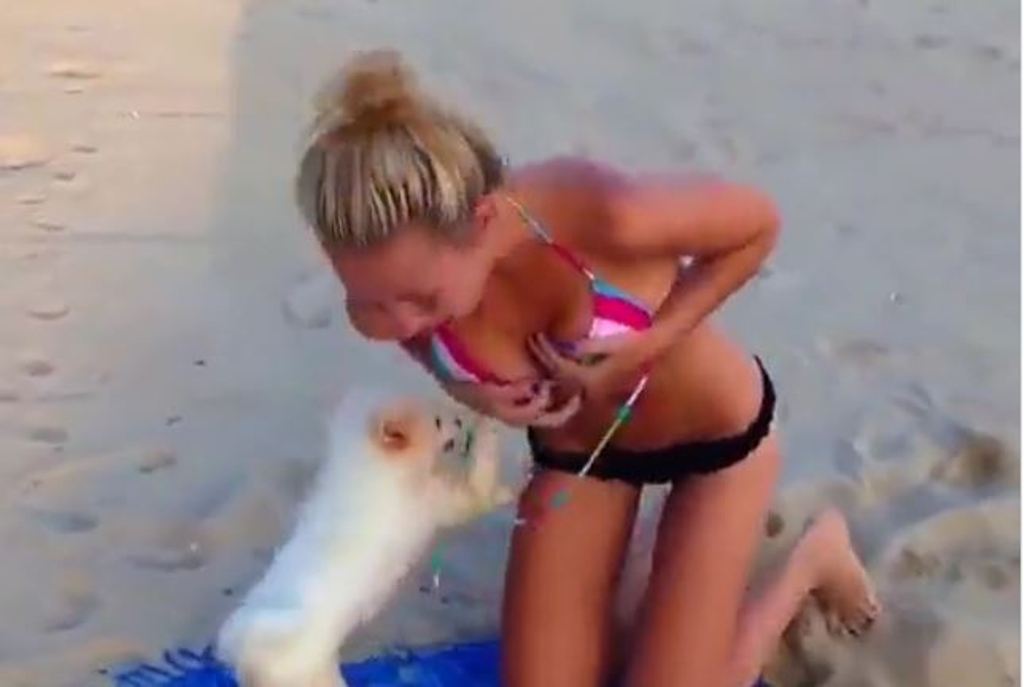 Qeni i vardiset keq pushueses, i tërheq rrobat e banjos dhe do ta zhveshë me çdo kusht! (Video) Qeni i vardiset keq pushueses, i tërheq rrobat e banjos dhe do ta zhveshë me çdo kusht! (Video)