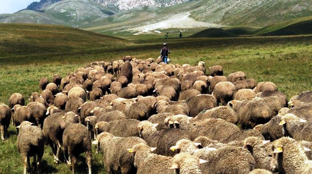 Ndalimi i emigrimit rural! Si po e zbaton Turqia atë që duhet ta kopjojë Shqipëria Ndalimi i emigrimit rural! Si po e zbaton Turqia atë që duhet ta kopjojë Shqipëria