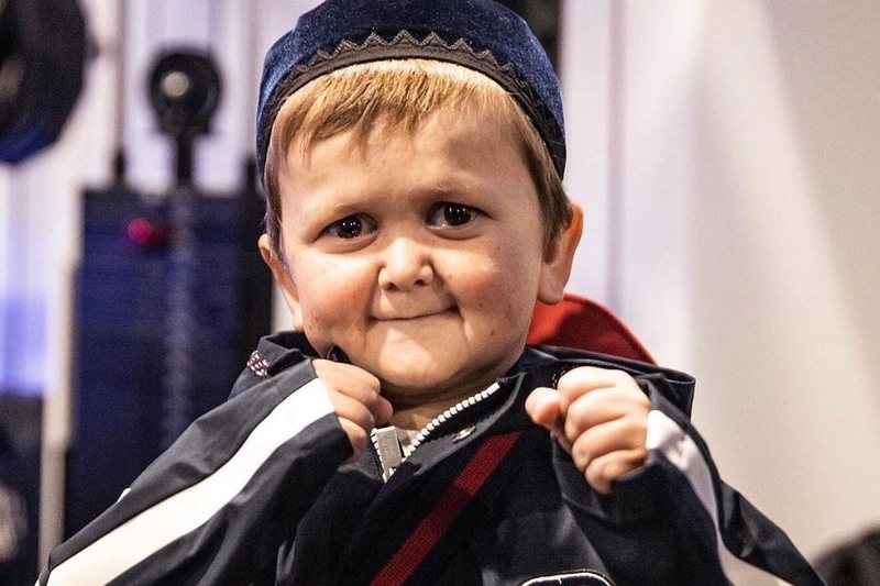 Njeriu i momentit! Kush është Hasbulla Magomedov dhe për çfarë shquhet? Njeriu i momentit! Kush është Hasbulla Magomedov dhe për çfarë shquhet?