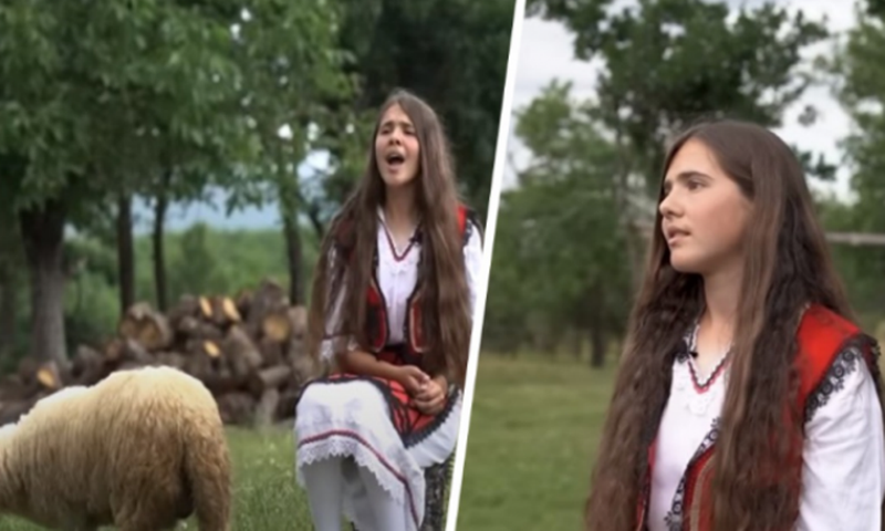 E pabesueshme! Baresha e vogël “përleshet” me ujqërit dhe shpëton qingjin e vogël (Video) E pabesueshme! Baresha e vogël “përleshet” me ujqërit dhe shpëton qingjin e vogël (Video)