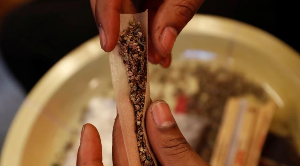 Shqipërisë i’a kundërshtojnë! Gjermania drejt legalizimit të kanabisit, ministri i Shëndetësisë: Do shitet në farmaci e dyqane të autorizuara. Personave mbi 18 vjeç… Shqipërisë i’a kundërshtojnë! Gjermania drejt legalizimit të kanabisit, ministri i Shëndetësisë: Do shitet në farmaci e dyqane të autorizuara. Personave mbi 18 vjeç…