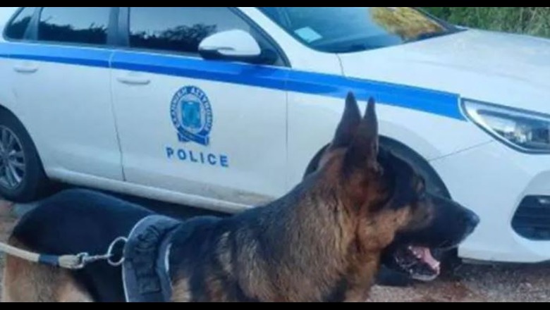 U gjet i pajetë i varrosur në një plazh të Greqisë: Kush është 31 vjeçari shqiptar nga Gramshi?! Në xhep kishte 12 mijë euro, ndalohen tre autorët e dyshuar U gjet i pajetë i varrosur në një plazh të Greqisë: Kush është 31 vjeçari shqiptar nga Gramshi?! Në xhep kishte 12 mijë euro, ndalohen tre autorët e dyshuar