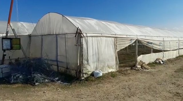 Si u trajnuan gratë e Kamzës për përpunimin e hashashit?! Sot “agronome Lazarati”, i kërkojnë të gjithë bosët nga Shqipëria deri në Amerikën Latine si mjeshtre ‘bari”! Si u trajnuan gratë e Kamzës për përpunimin e hashashit?! Sot “agronome Lazarati”, i kërkojnë të gjithë bosët nga Shqipëria deri në Amerikën Latine si mjeshtre ‘bari”!